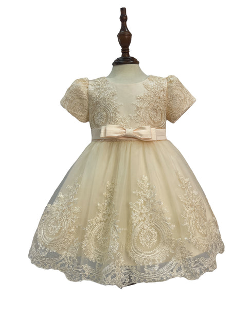 Baby Girls Sleeve Border Embroidery Elegant Tulle Flower Girl Dress 3-24M